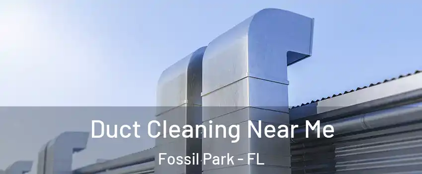 Duct Cleaning Near Me Fossil Park - FL