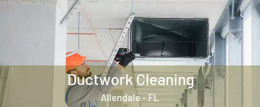 Ductwork Cleaning Allendale - FL