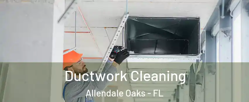 Ductwork Cleaning Allendale Oaks - FL
