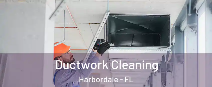 Ductwork Cleaning Harbordale - FL