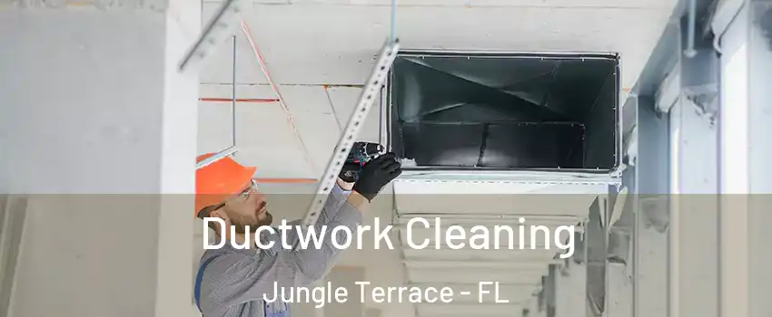 Ductwork Cleaning Jungle Terrace - FL