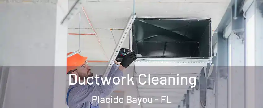 Ductwork Cleaning Placido Bayou - FL