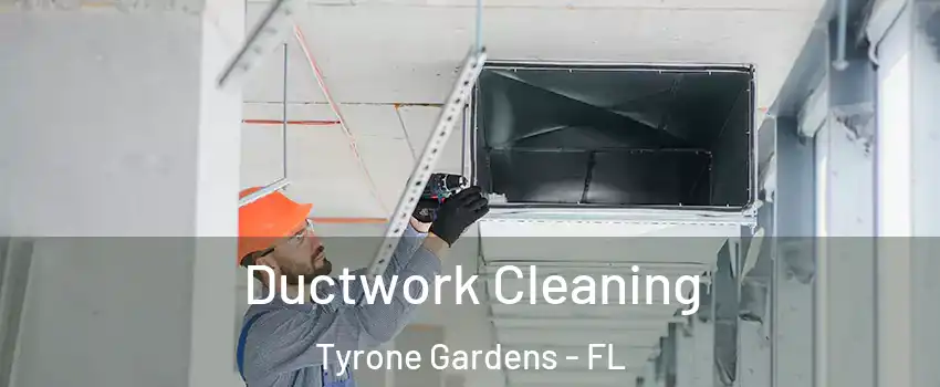 Ductwork Cleaning Tyrone Gardens - FL