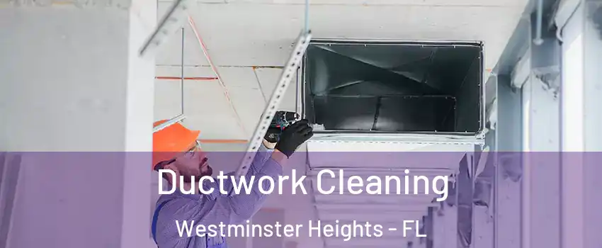Ductwork Cleaning Westminster Heights - FL