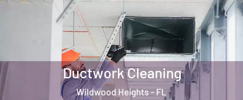 Ductwork Cleaning Wildwood Heights - FL