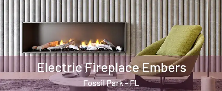 Electric Fireplace Embers Fossil Park - FL