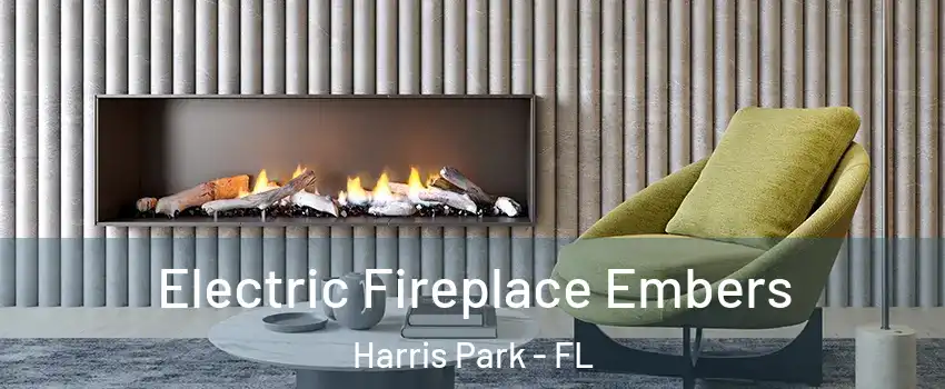 Electric Fireplace Embers Harris Park - FL