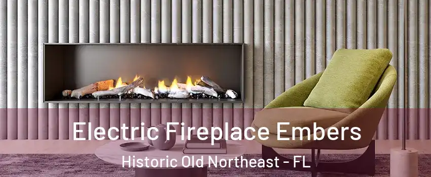Electric Fireplace Embers Historic Old Northeast - FL