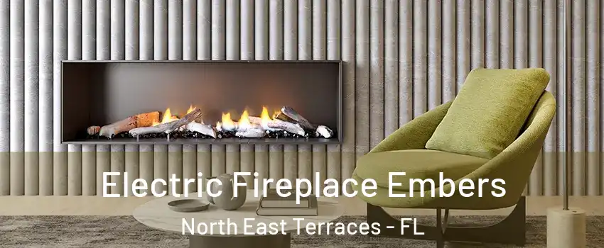 Electric Fireplace Embers North East Terraces - FL