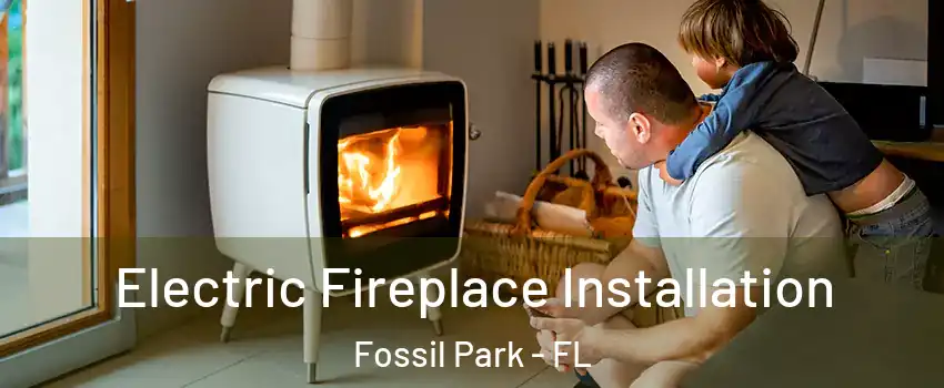 Electric Fireplace Installation Fossil Park - FL