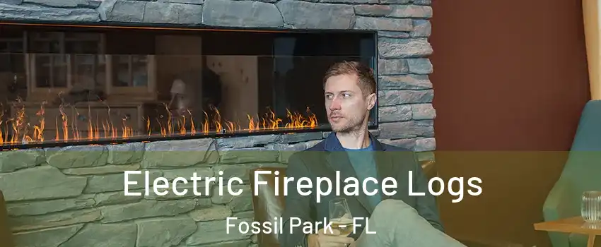 Electric Fireplace Logs Fossil Park - FL