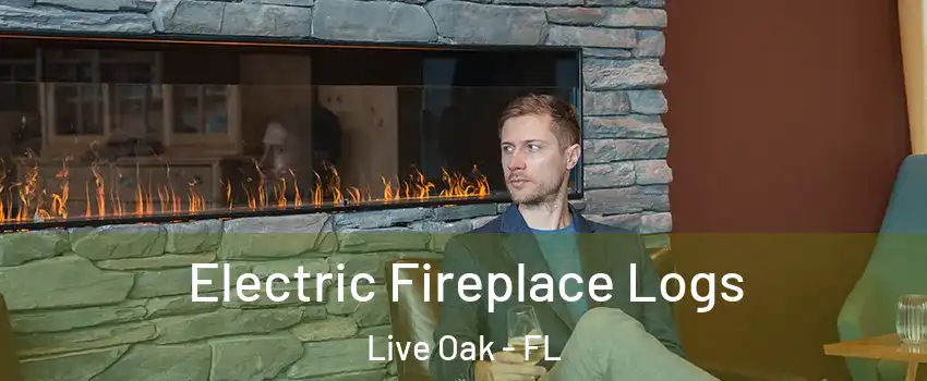Electric Fireplace Logs Live Oak - FL