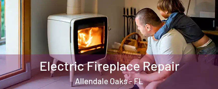 Electric Fireplace Repair Allendale Oaks - FL