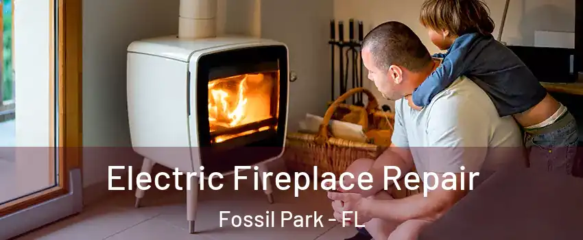 Electric Fireplace Repair Fossil Park - FL