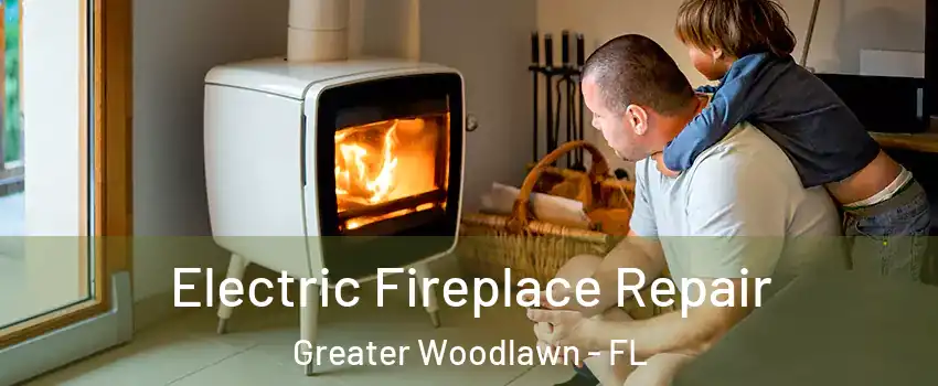 Electric Fireplace Repair Greater Woodlawn - FL