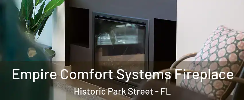 Empire Comfort Systems Fireplace Historic Park Street - FL