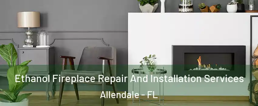 Ethanol Fireplace Repair And Installation Services Allendale - FL