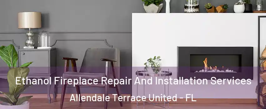 Ethanol Fireplace Repair And Installation Services Allendale Terrace United - FL
