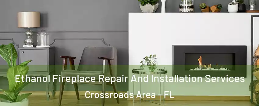 Ethanol Fireplace Repair And Installation Services Crossroads Area - FL