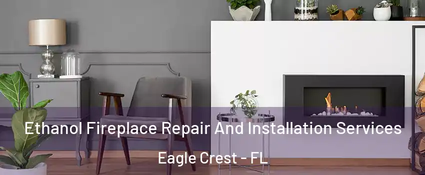 Ethanol Fireplace Repair And Installation Services Eagle Crest - FL