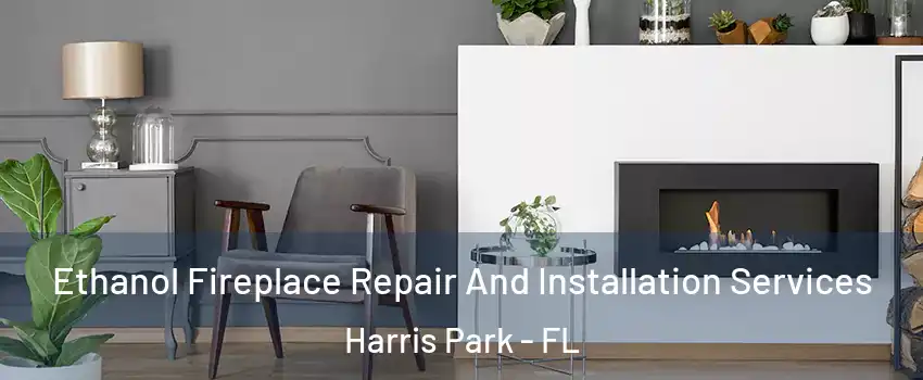 Ethanol Fireplace Repair And Installation Services Harris Park - FL