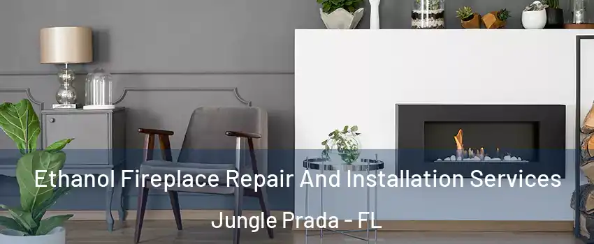 Ethanol Fireplace Repair And Installation Services Jungle Prada - FL