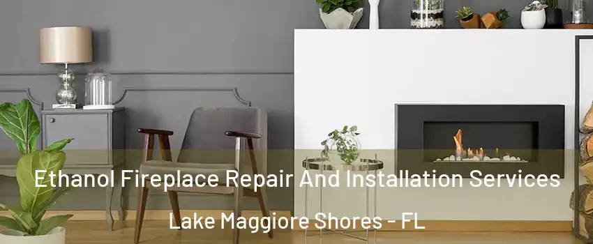 Ethanol Fireplace Repair And Installation Services Lake Maggiore Shores - FL