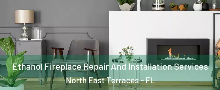 Ethanol Fireplace Repair And Installation Services North East Terraces - FL