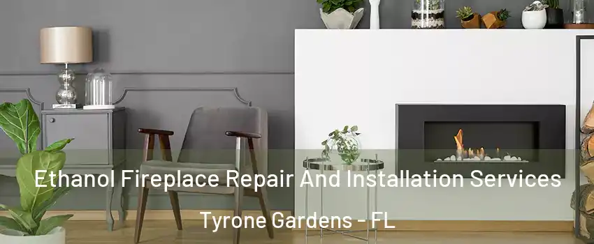Ethanol Fireplace Repair And Installation Services Tyrone Gardens - FL