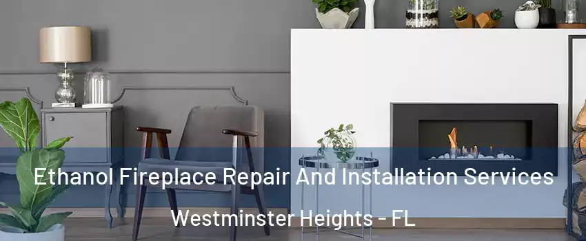 Ethanol Fireplace Repair And Installation Services Westminster Heights - FL