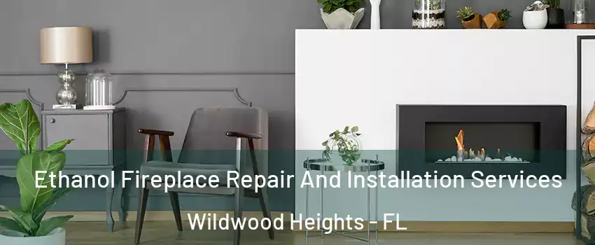 Ethanol Fireplace Repair And Installation Services Wildwood Heights - FL