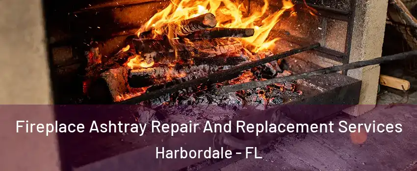 Fireplace Ashtray Repair And Replacement Services Harbordale - FL