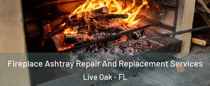 Fireplace Ashtray Repair And Replacement Services Live Oak - FL