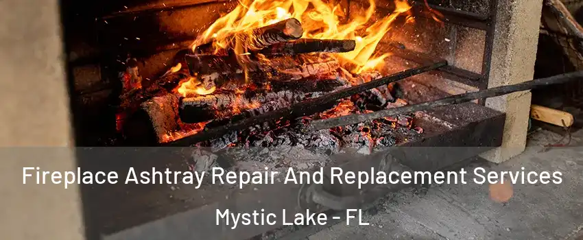 Fireplace Ashtray Repair And Replacement Services Mystic Lake - FL