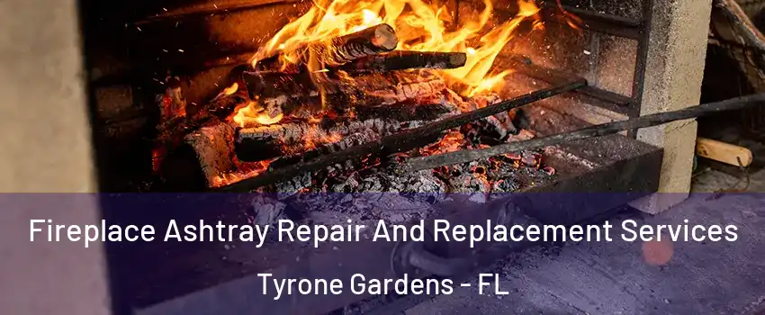 Fireplace Ashtray Repair And Replacement Services Tyrone Gardens - FL