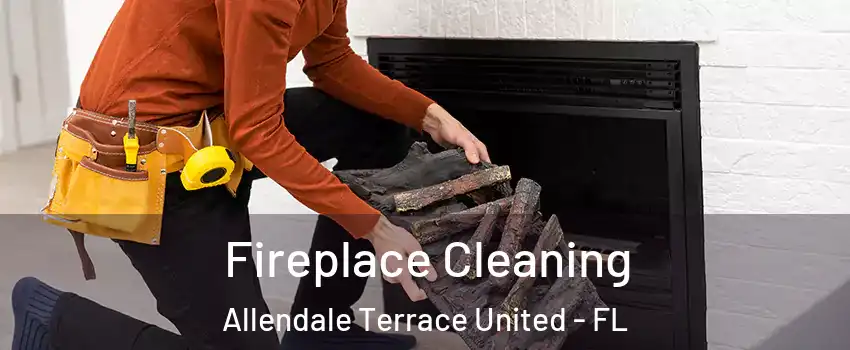 Fireplace Cleaning Allendale Terrace United - FL