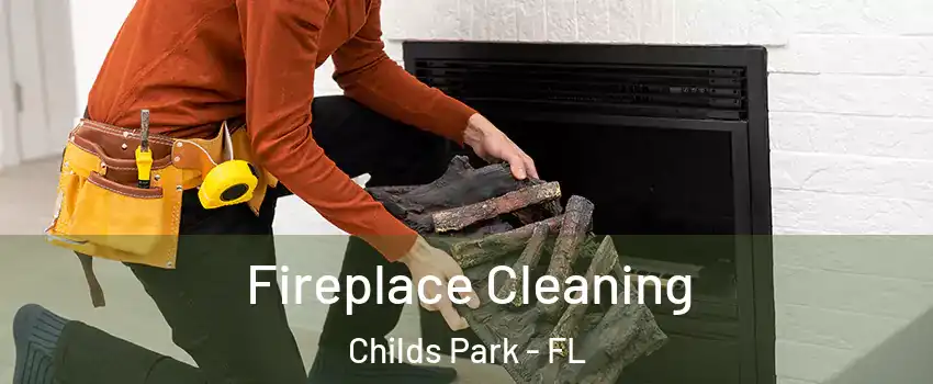 Fireplace Cleaning Childs Park - FL