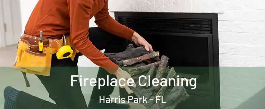 Fireplace Cleaning Harris Park - FL