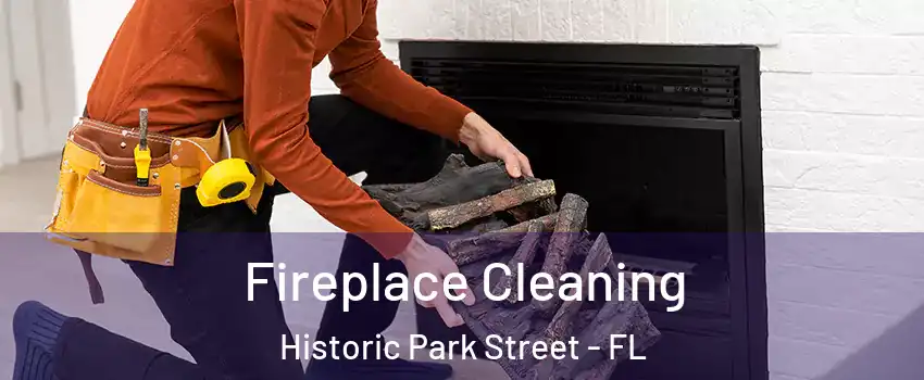 Fireplace Cleaning Historic Park Street - FL