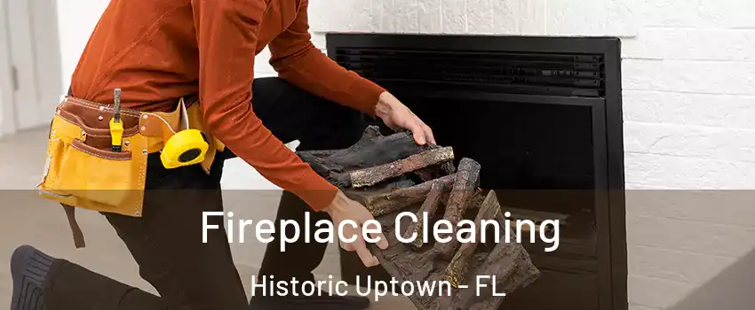 Fireplace Cleaning Historic Uptown - FL