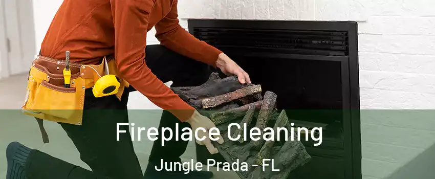 Fireplace Cleaning Jungle Prada - FL