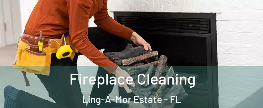 Fireplace Cleaning Ling-A-Mor Estate - FL