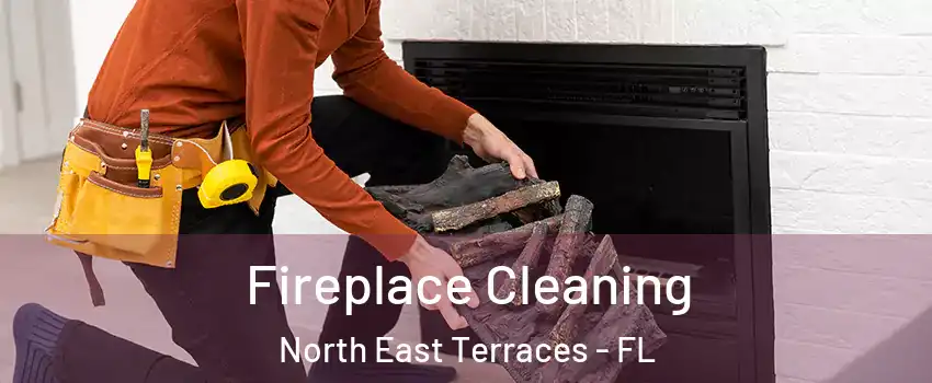 Fireplace Cleaning North East Terraces - FL