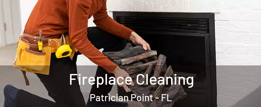 Fireplace Cleaning Patrician Point - FL