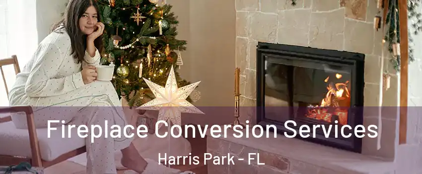 Fireplace Conversion Services Harris Park - FL