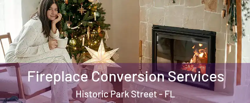 Fireplace Conversion Services Historic Park Street - FL