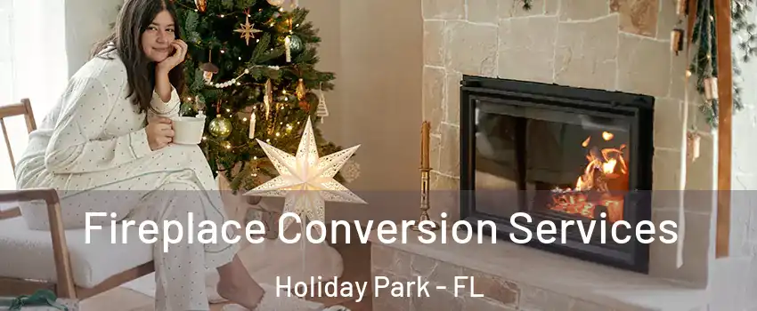 Fireplace Conversion Services Holiday Park - FL