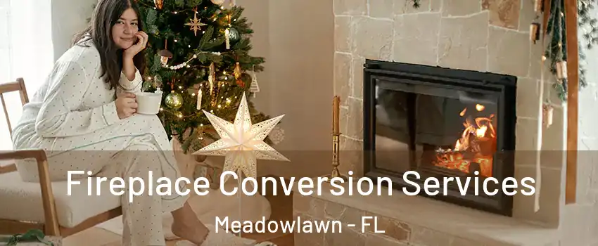 Fireplace Conversion Services Meadowlawn - FL