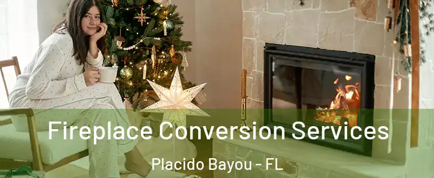 Fireplace Conversion Services Placido Bayou - FL