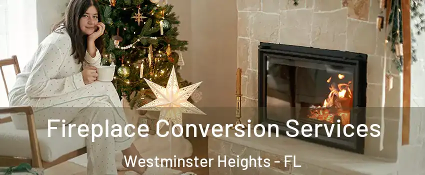 Fireplace Conversion Services Westminster Heights - FL